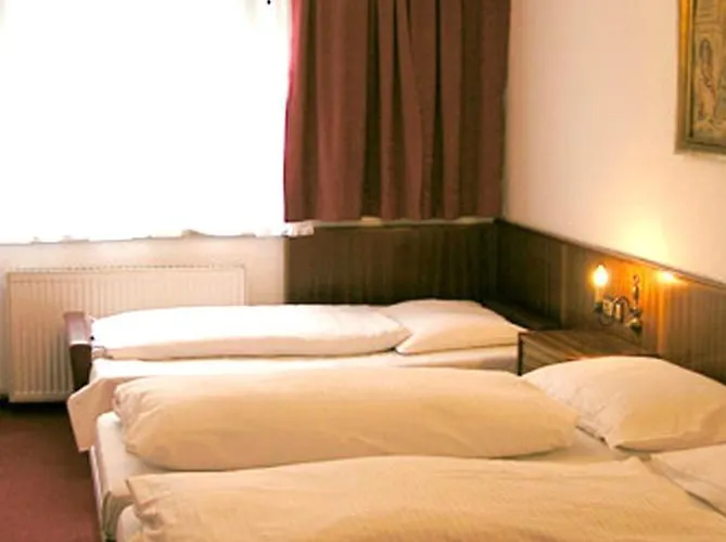 Hotel-restaurant-cafe Sophienalpe Otel Viyana