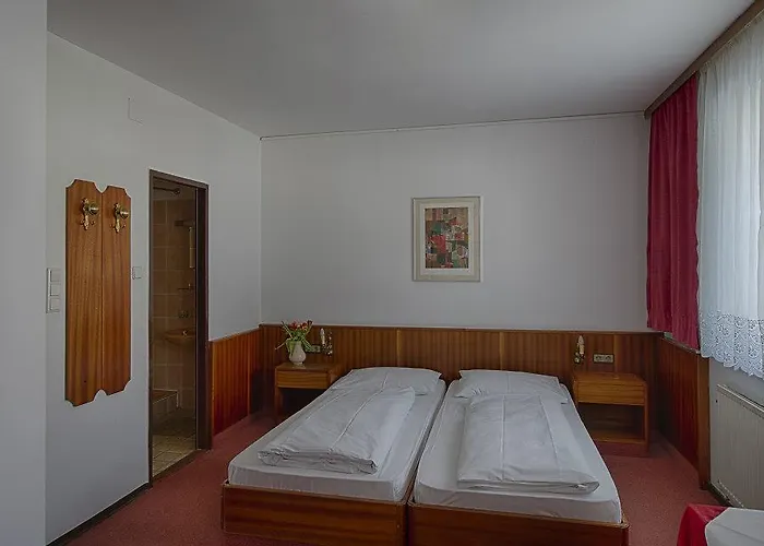 Hotel-restaurant-cafe Sophienalpe Otel 3*